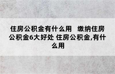 住房公积金有什么用   缴纳住房公积金6大好处 住房公积金,有什么用